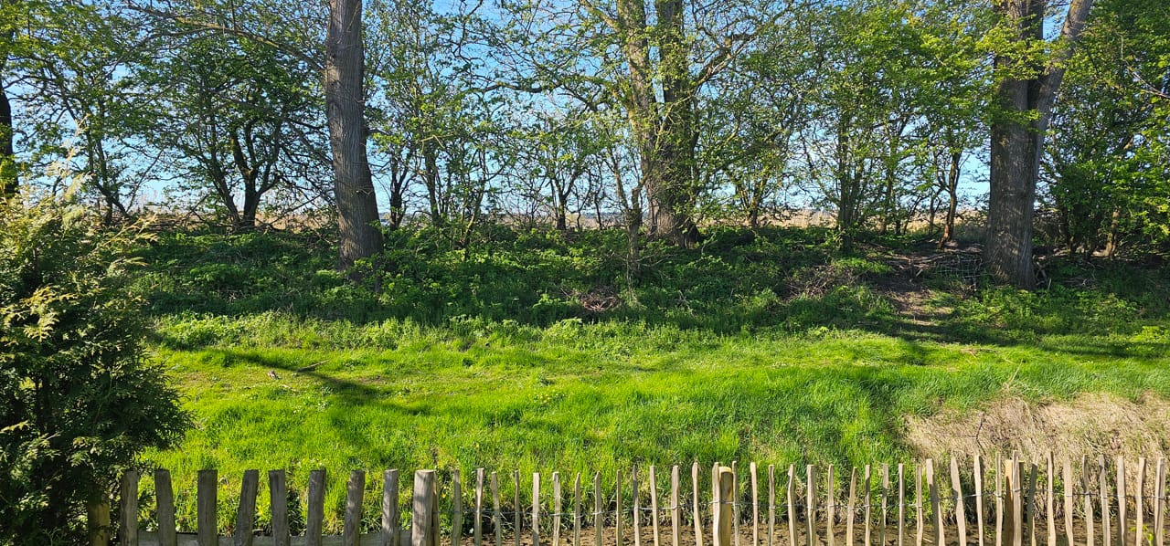 Photo 20 of Rekerlanden 260