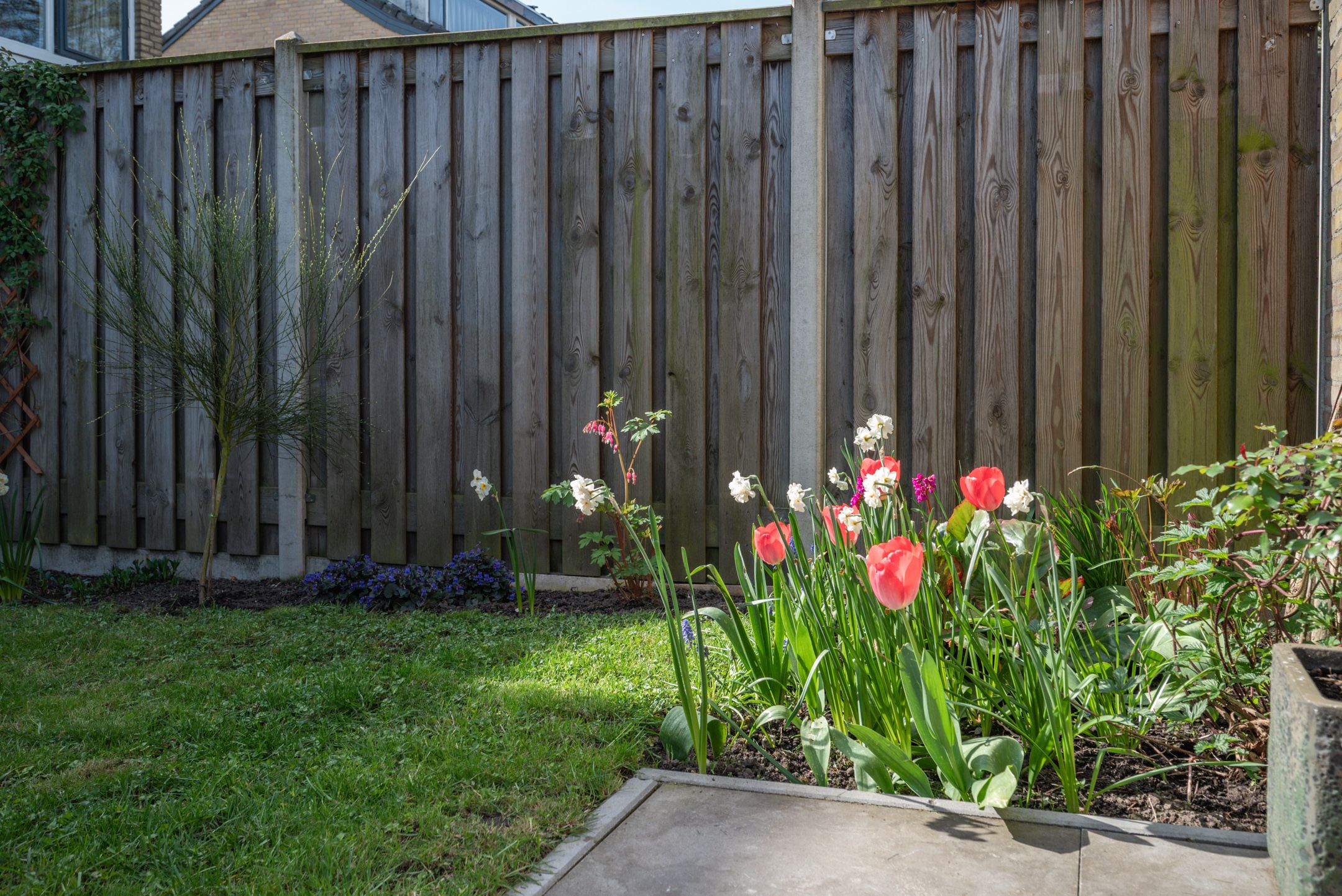 Foto 42 van Willem-Alexanderlaan 22