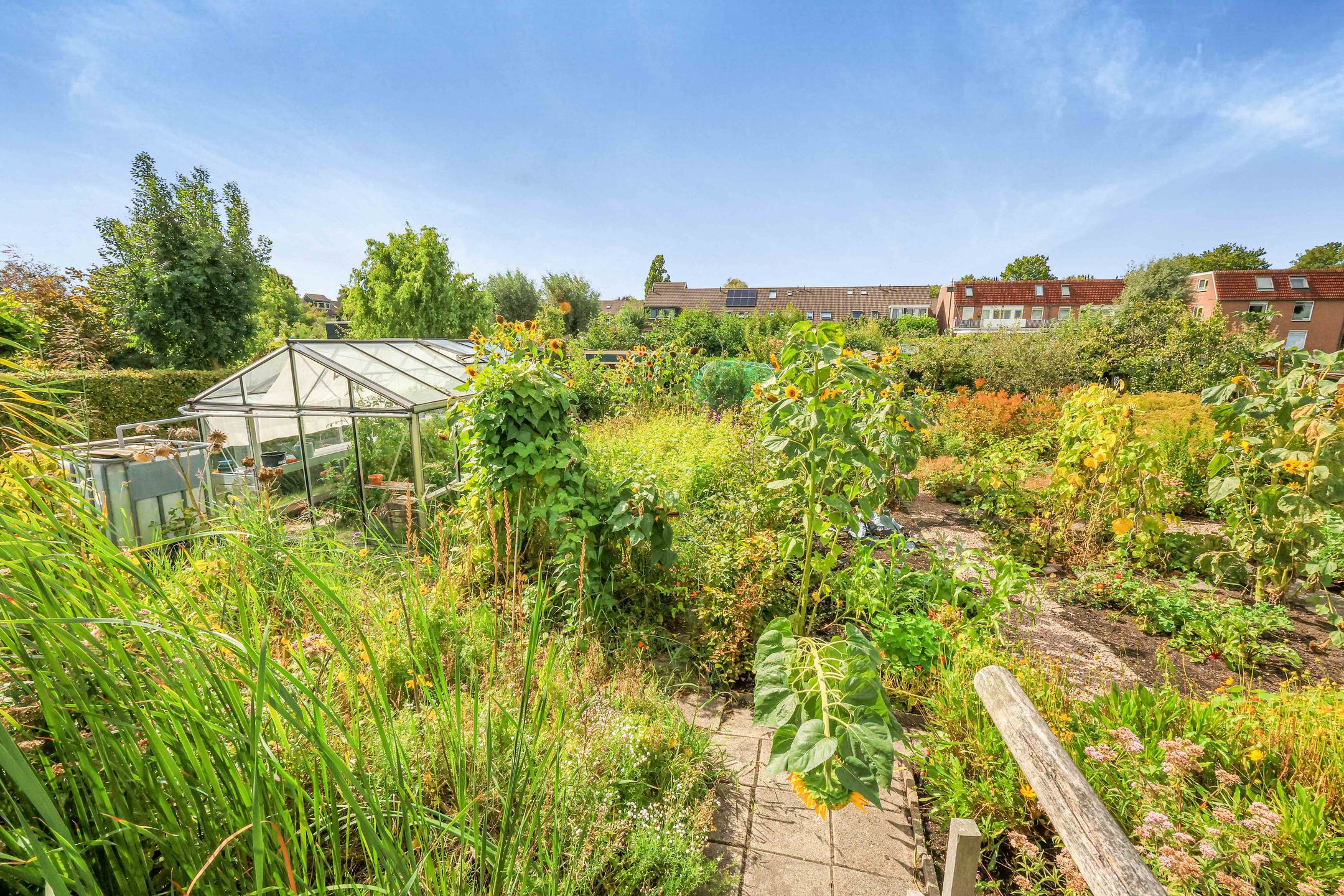 Foto 24 van Pastoor Botsstraat 14