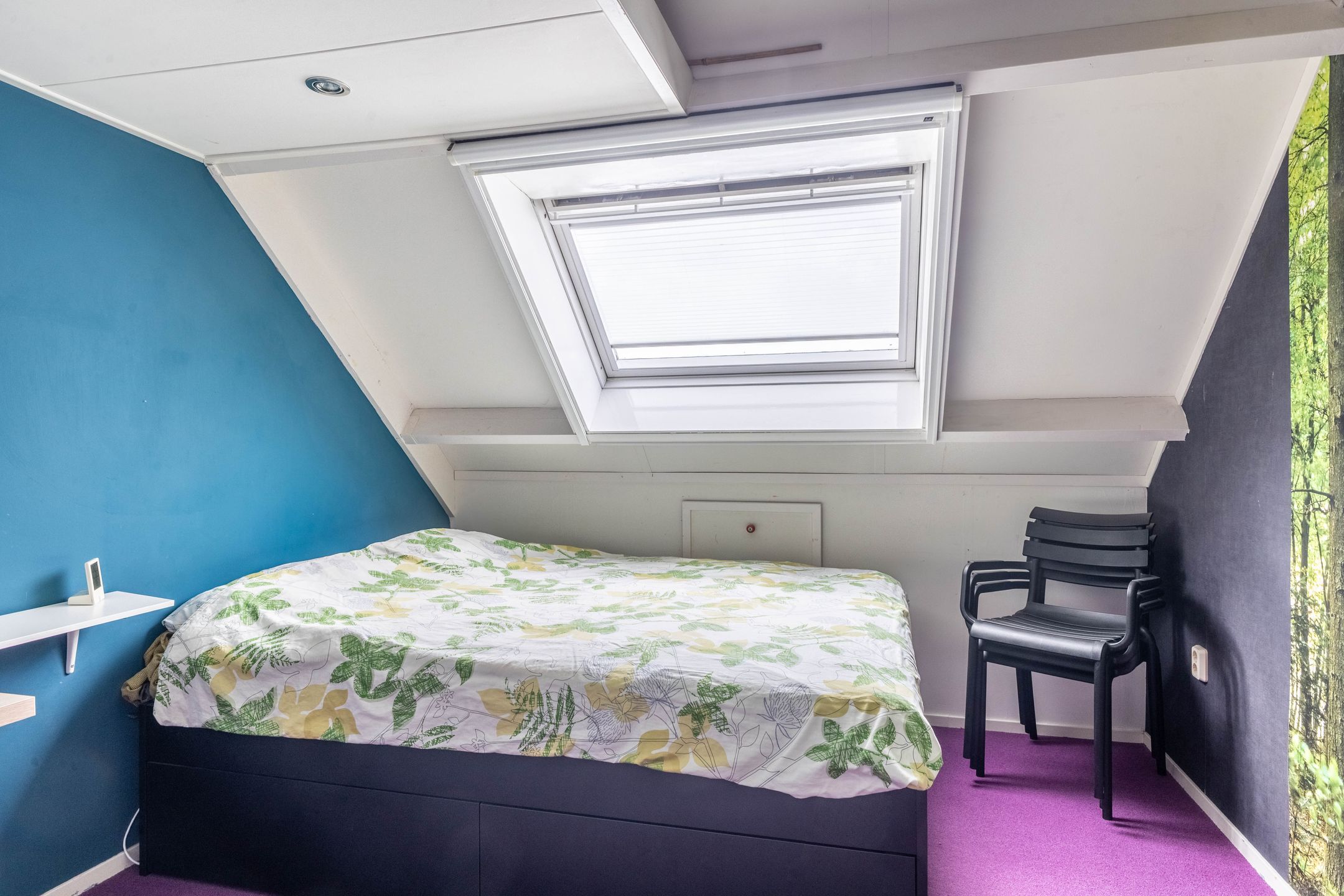 Foto 42 van Pastoor Botsstraat 14