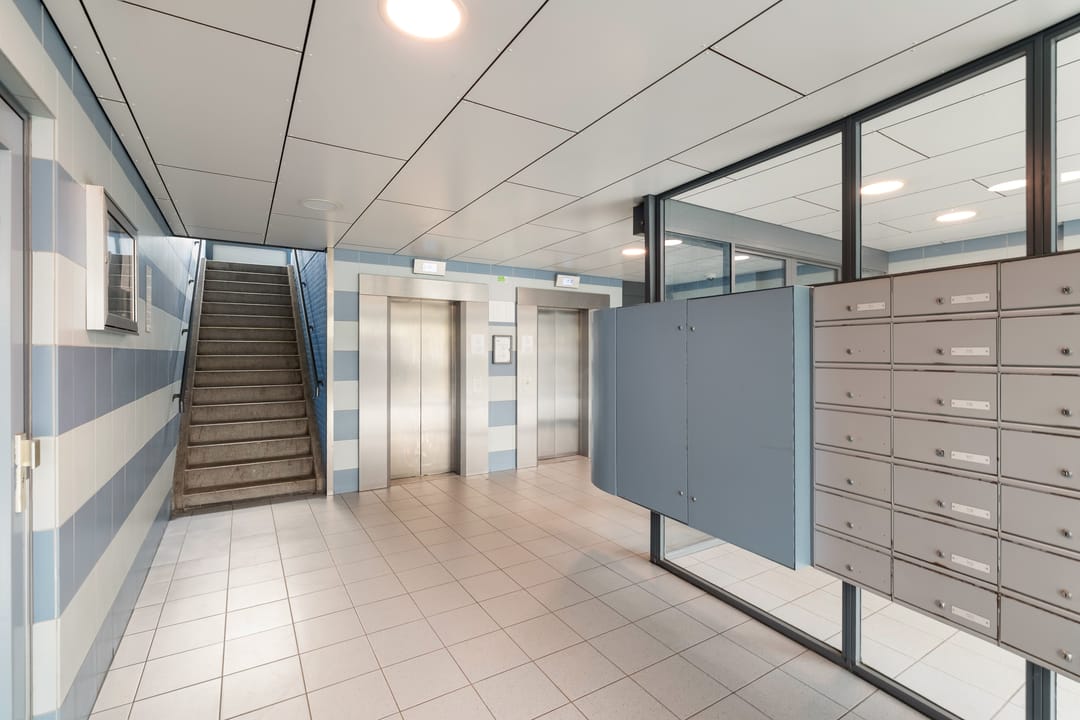 Foto 46 van Belvédèrebos 56