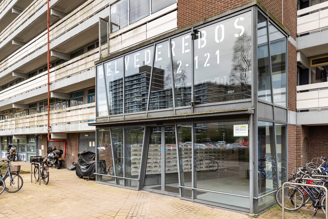 Foto 47 van Belvédèrebos 56