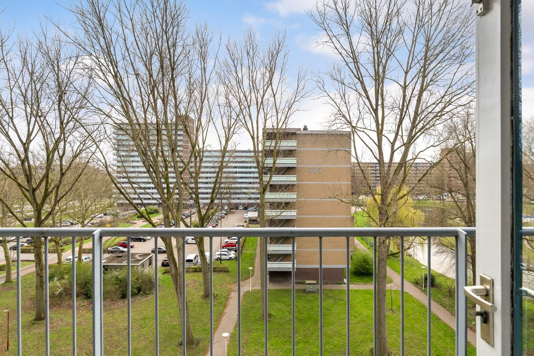 Foto 41 van Belvédèrebos 56