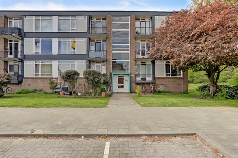 Wijnruitstraat thumbnail