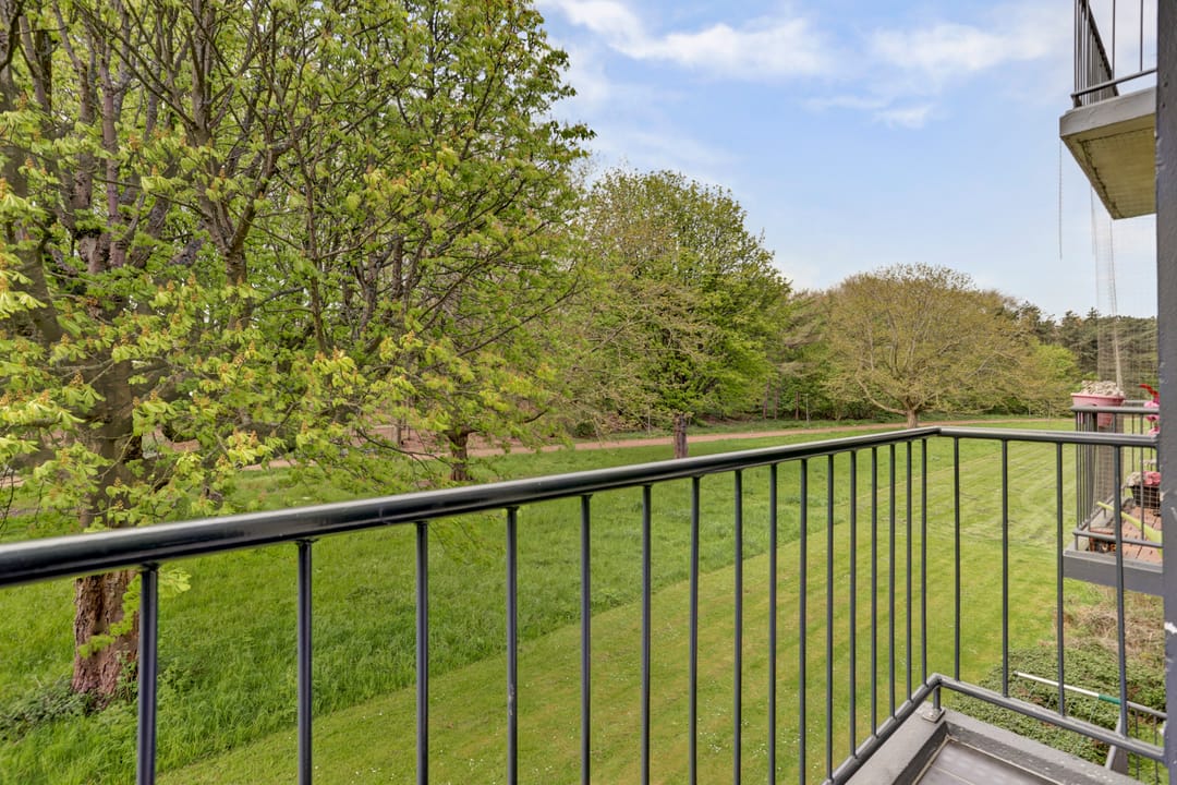 Photo 17 of Wijnruitstraat 79