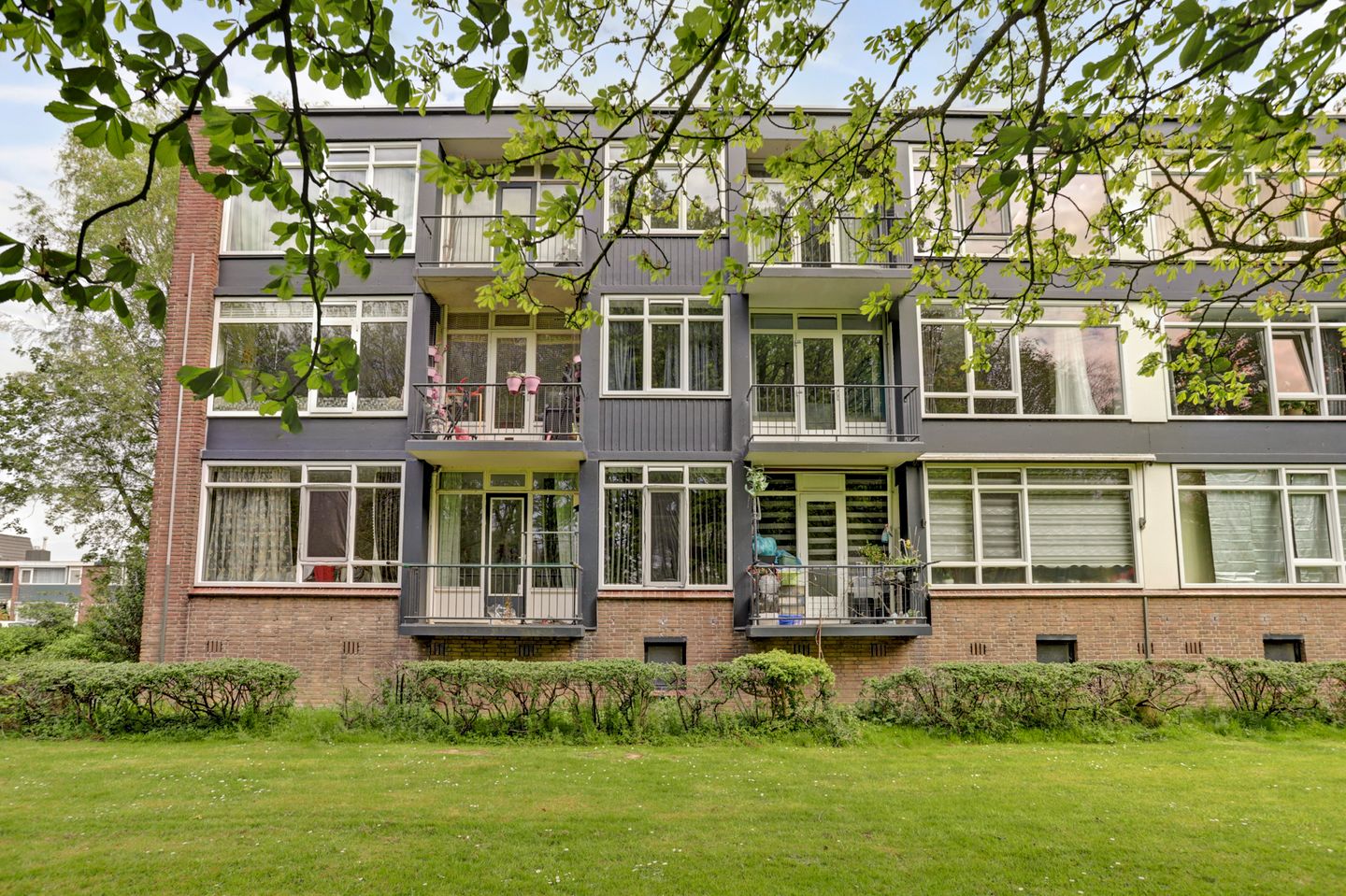 Photo 19 of Wijnruitstraat 79