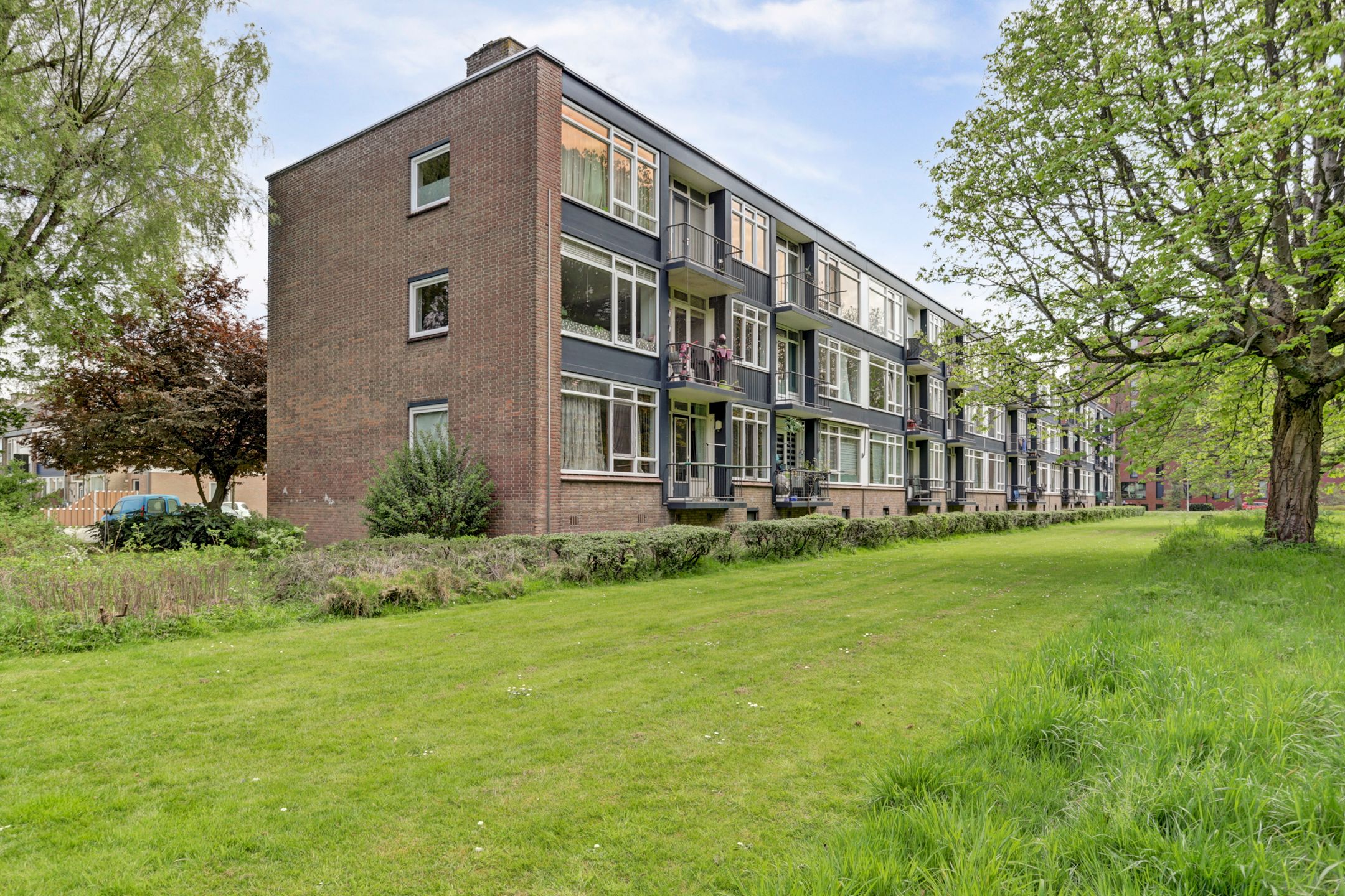 Photo 21 of Wijnruitstraat 79