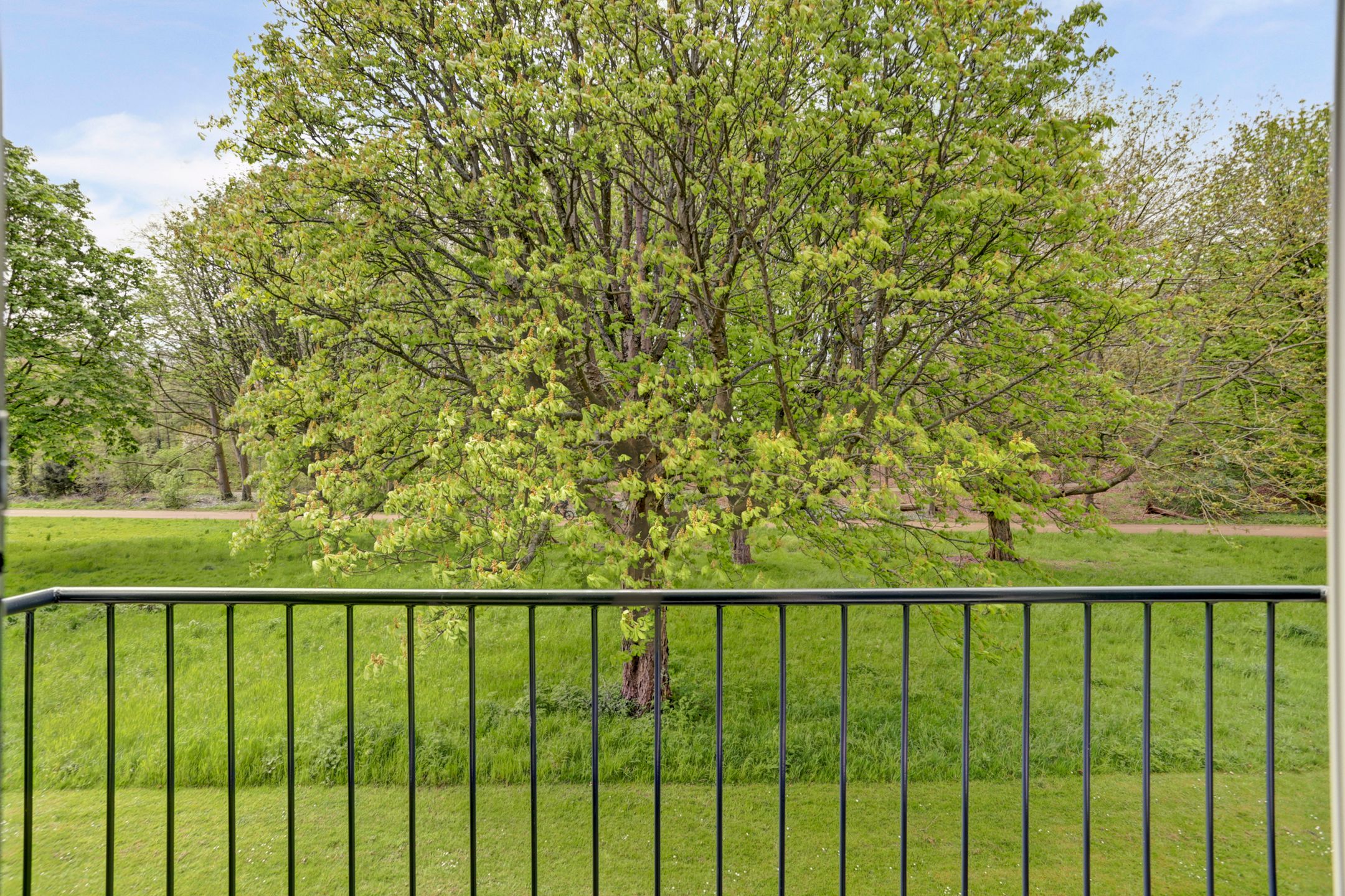 Photo 24 of Wijnruitstraat 79