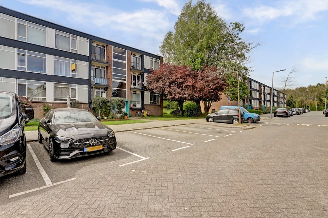 Photo 23 of Wijnruitstraat 79