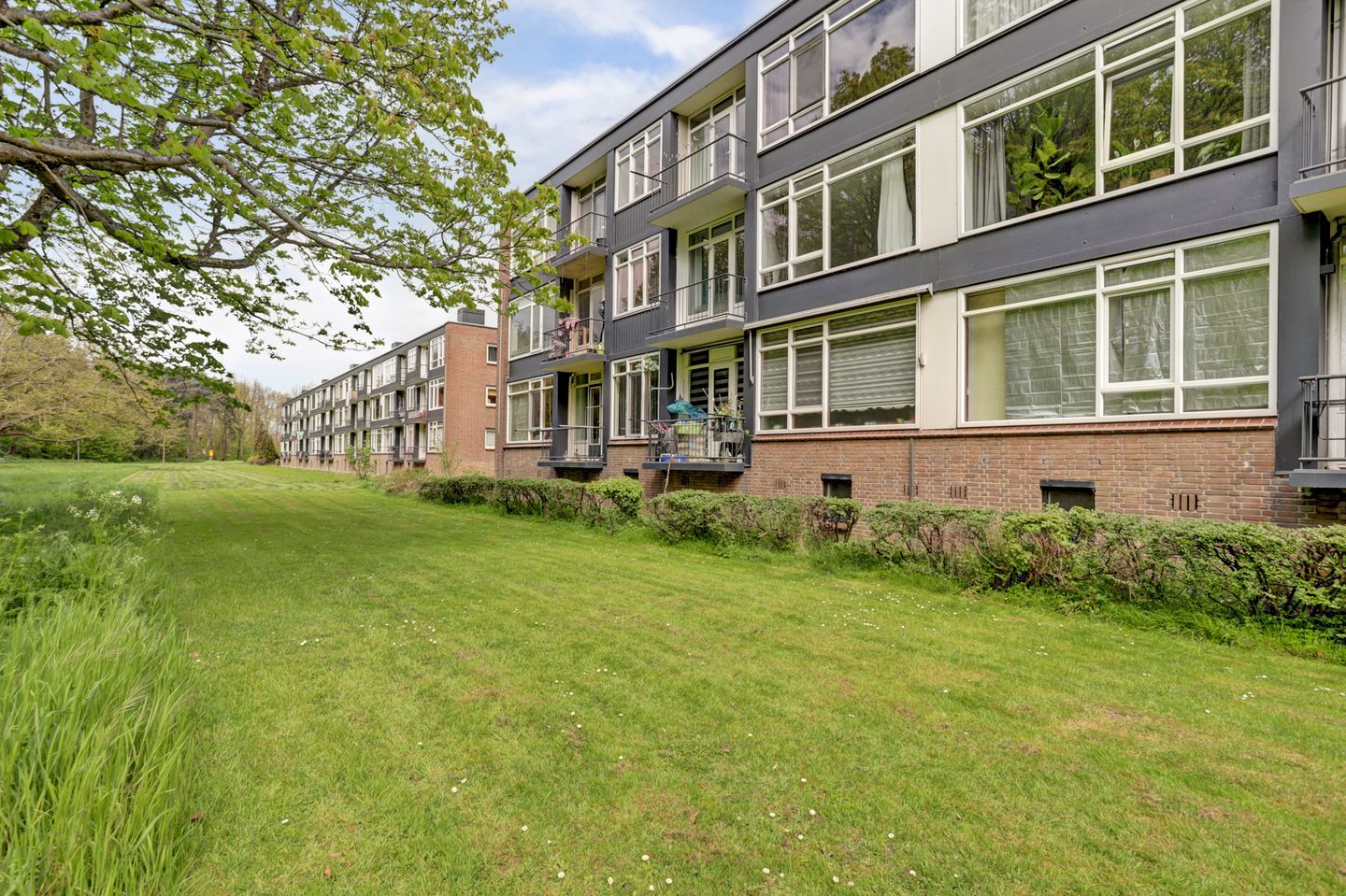 Photo 20 of Wijnruitstraat 79