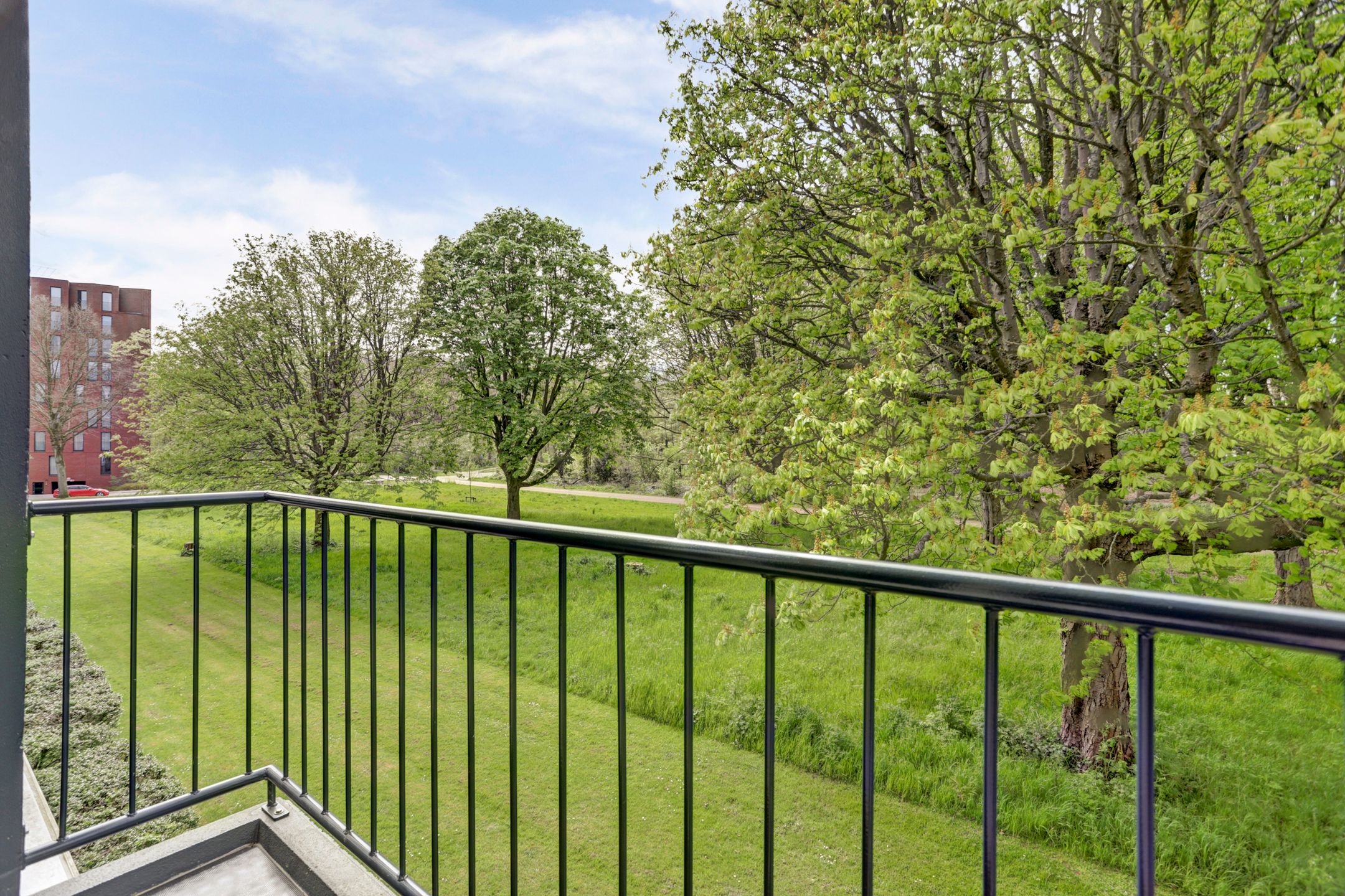 Photo 18 of Wijnruitstraat 79