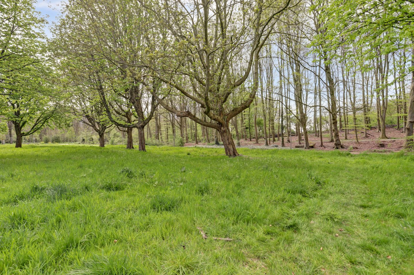 Photo 25 of Wijnruitstraat 79