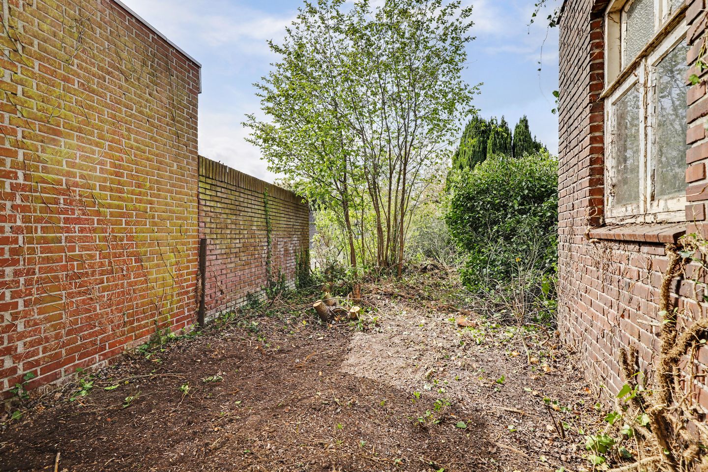 Foto 19 van Pepijnstraat 153