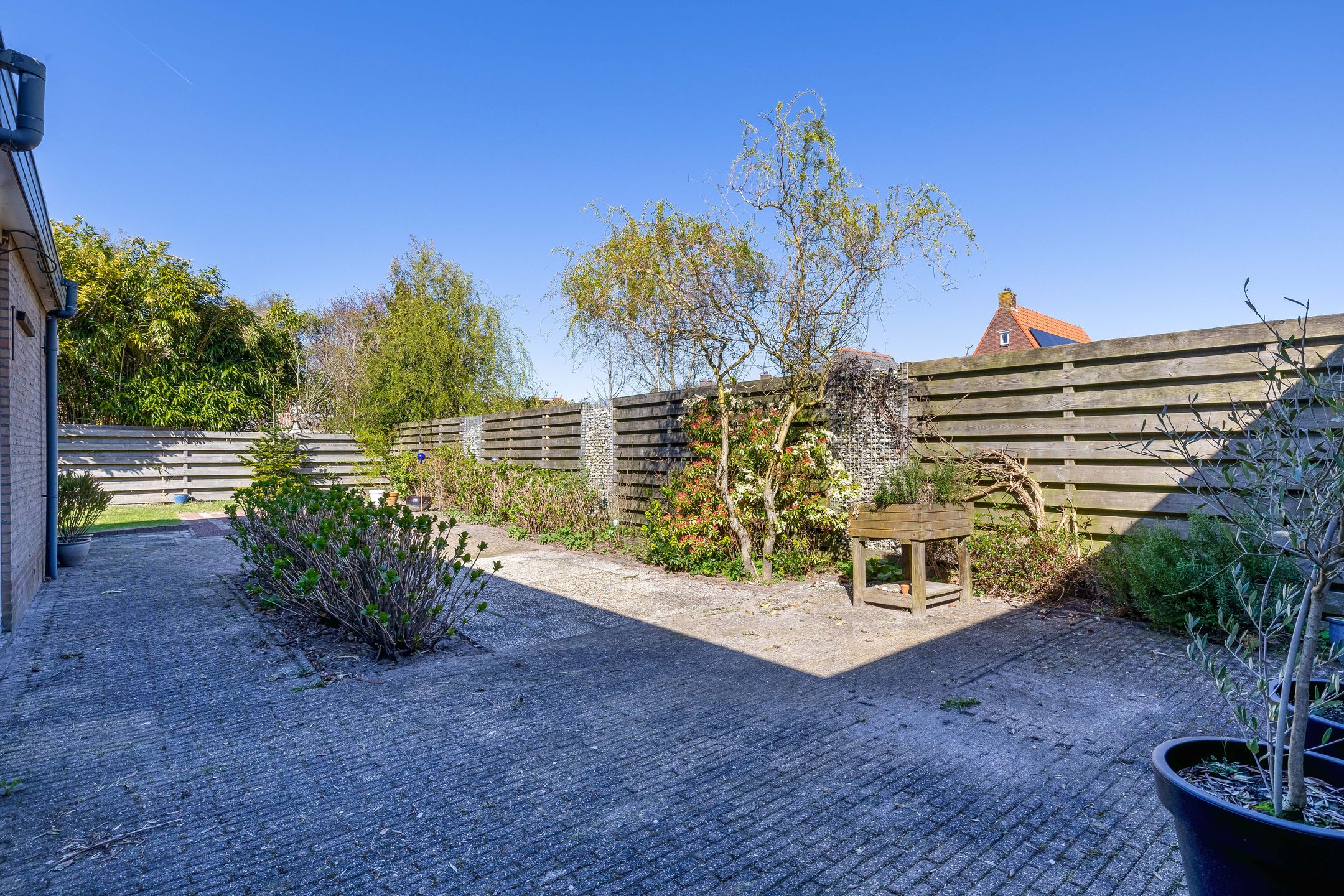 Foto 51 van Pier Panderstraat 42