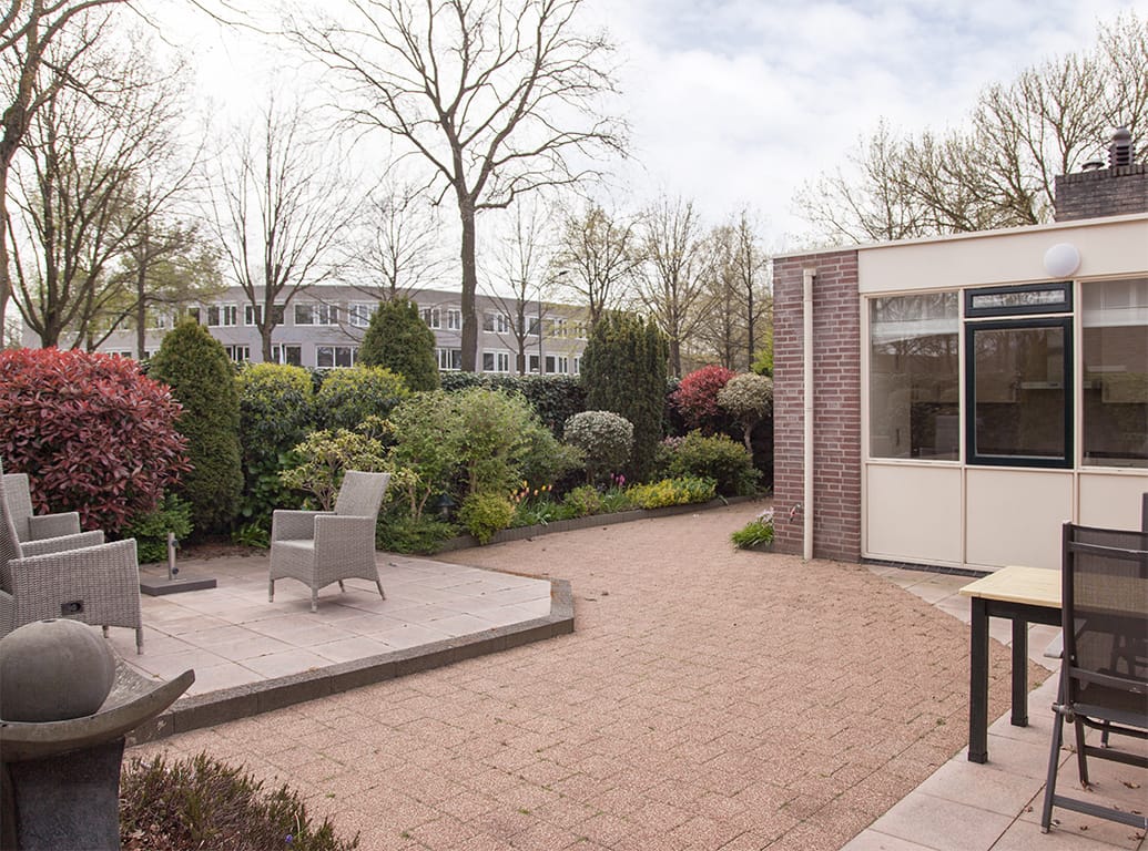 Foto 38 van Aalscholver 9