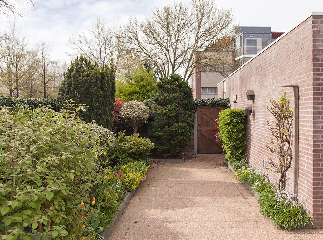 Foto 40 van Aalscholver 9