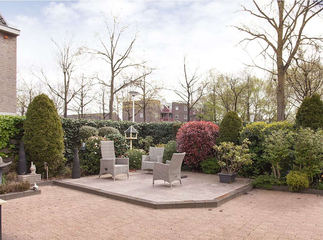 Foto 3 van Aalscholver 9