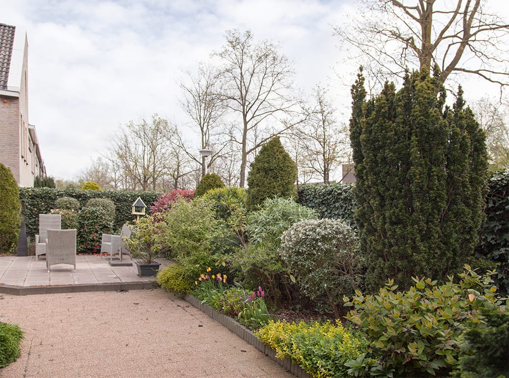 Foto 34 van Aalscholver 9