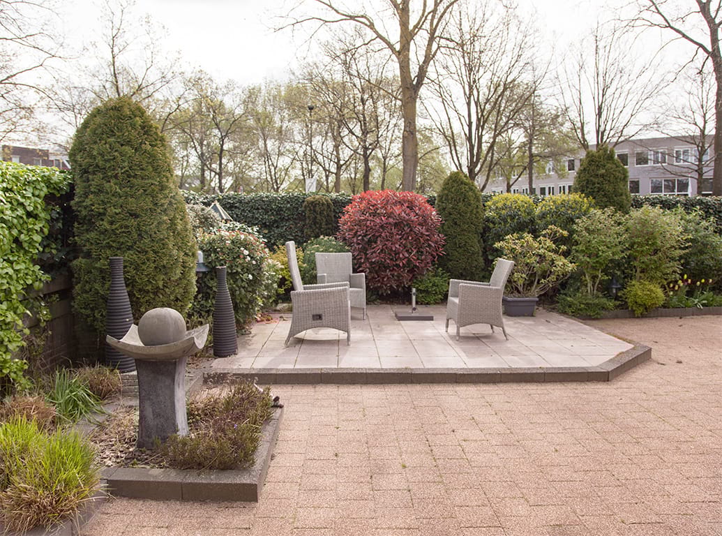 Foto 35 van Aalscholver 9