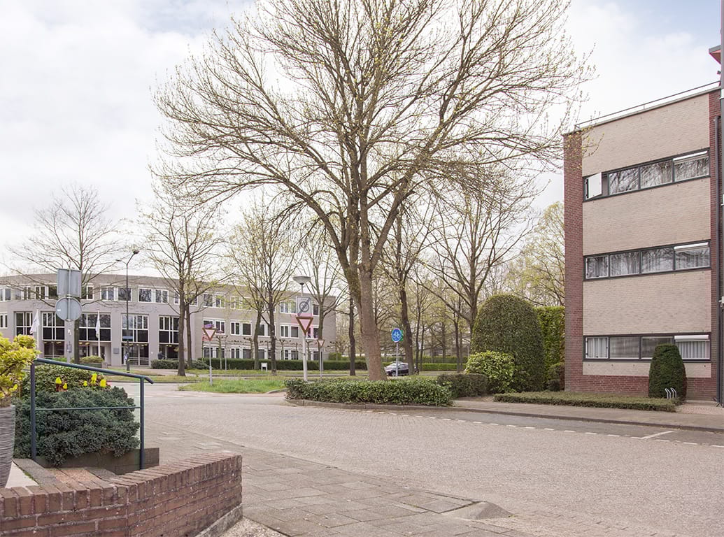 Foto 44 van Aalscholver 9