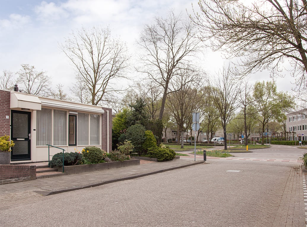 Foto 48 van Aalscholver 9