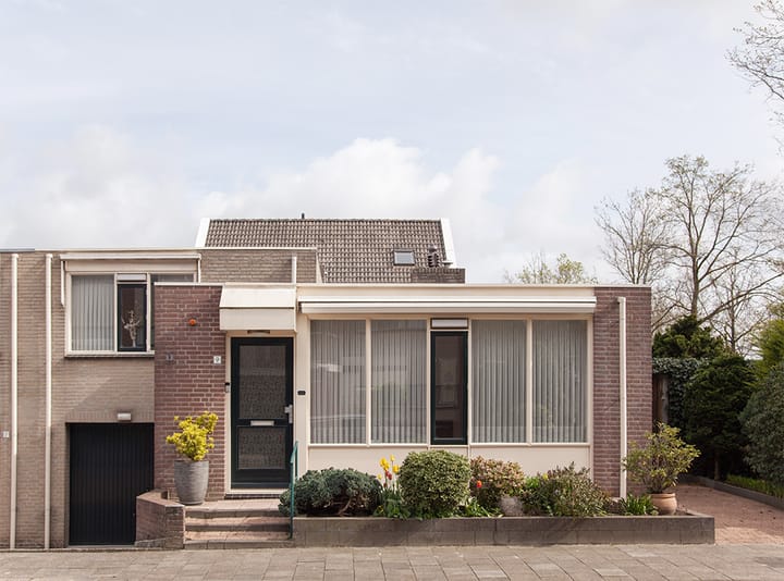 Foto 2 van Aalscholver 9