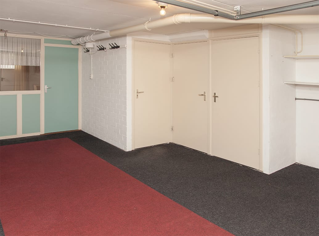 Foto 31 van Aalscholver 9