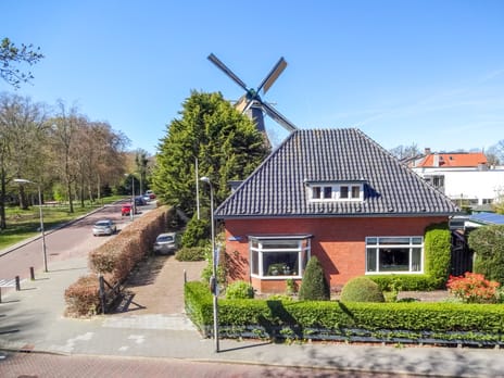 Wüstelaan thumbnail