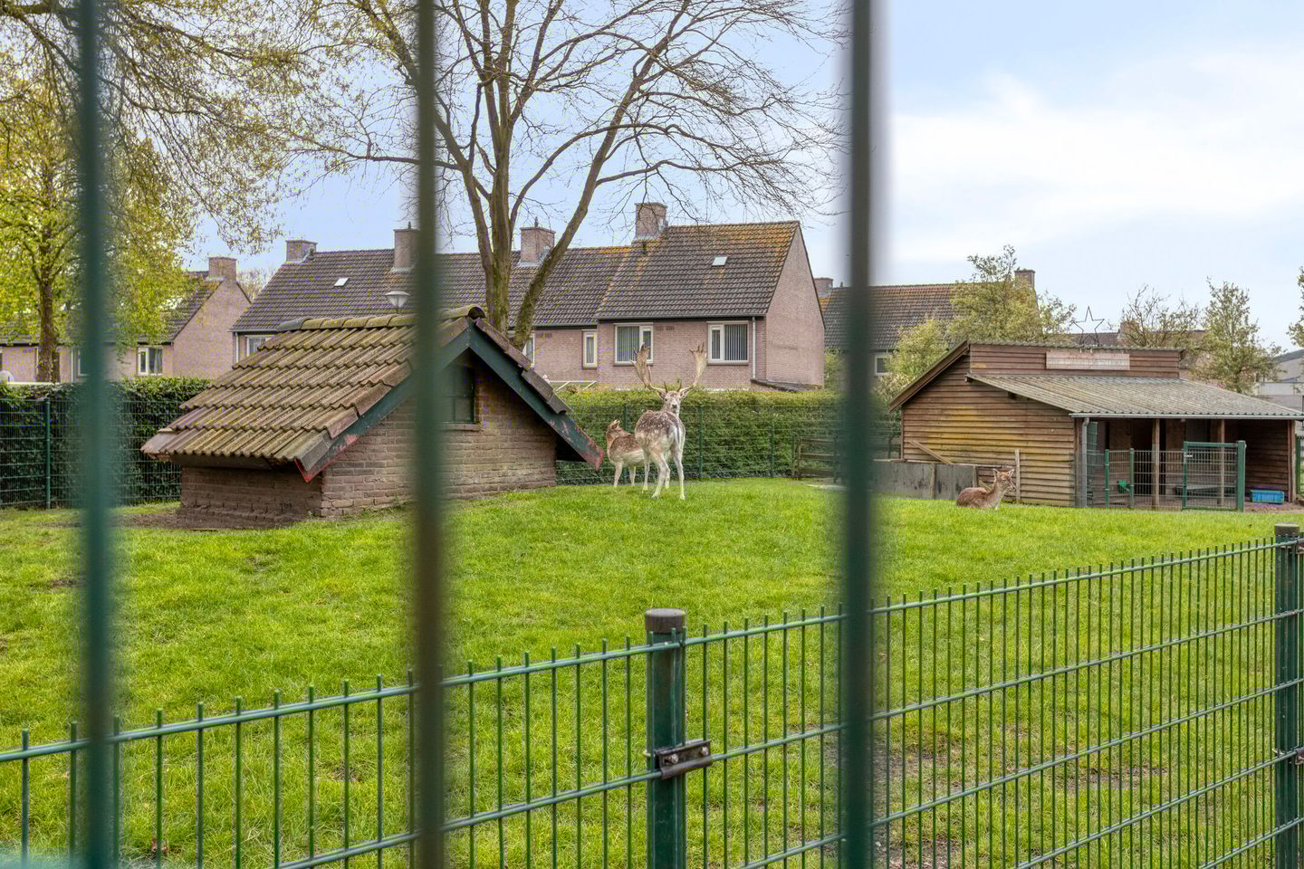 Photo 40 of Leharstraat 6