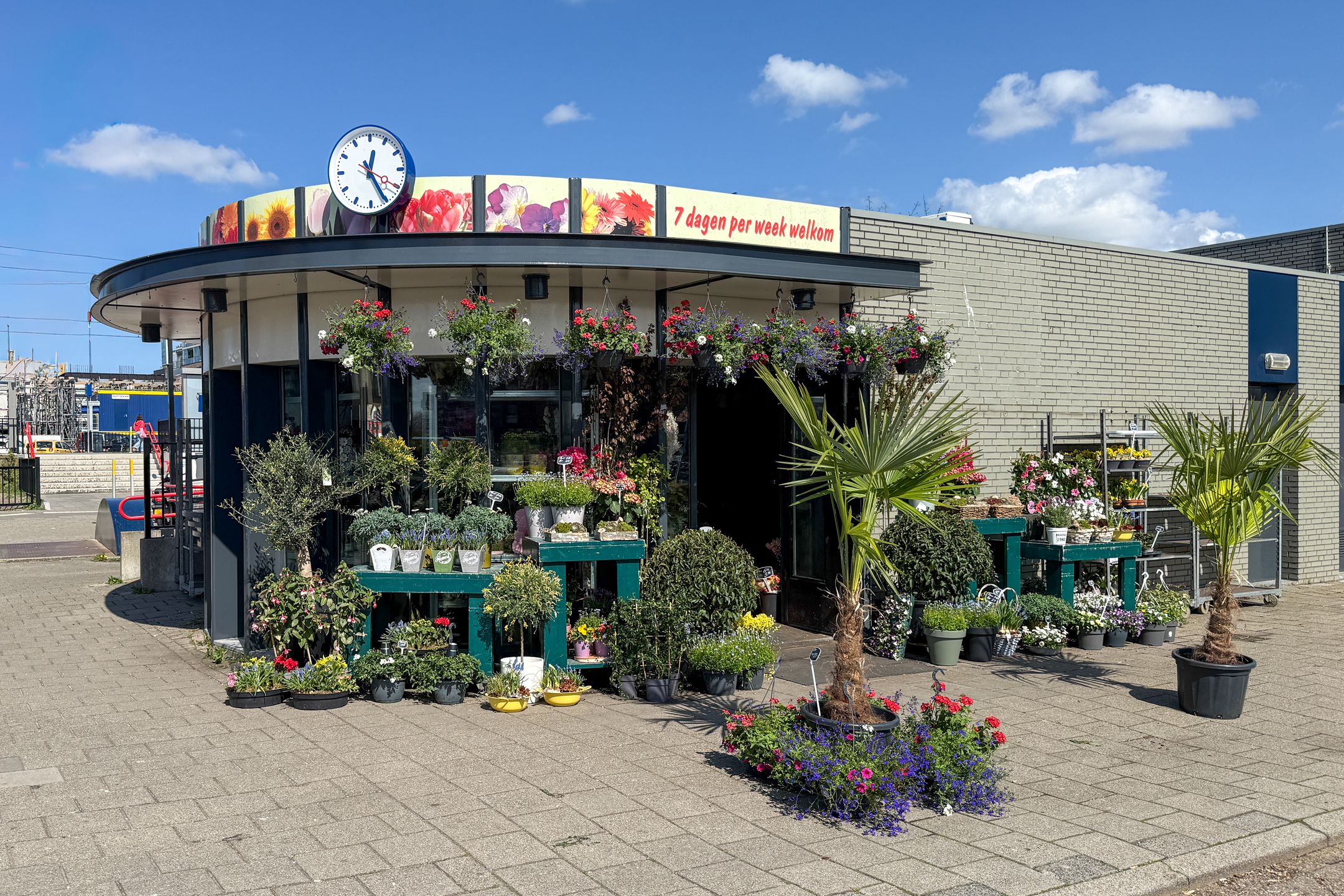 Foto 42 van De Groene Trede 7