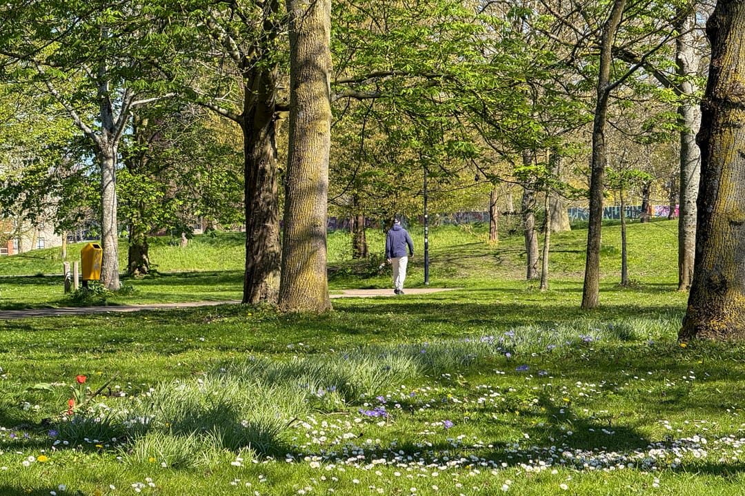 Foto 37 van De Groene Trede 7