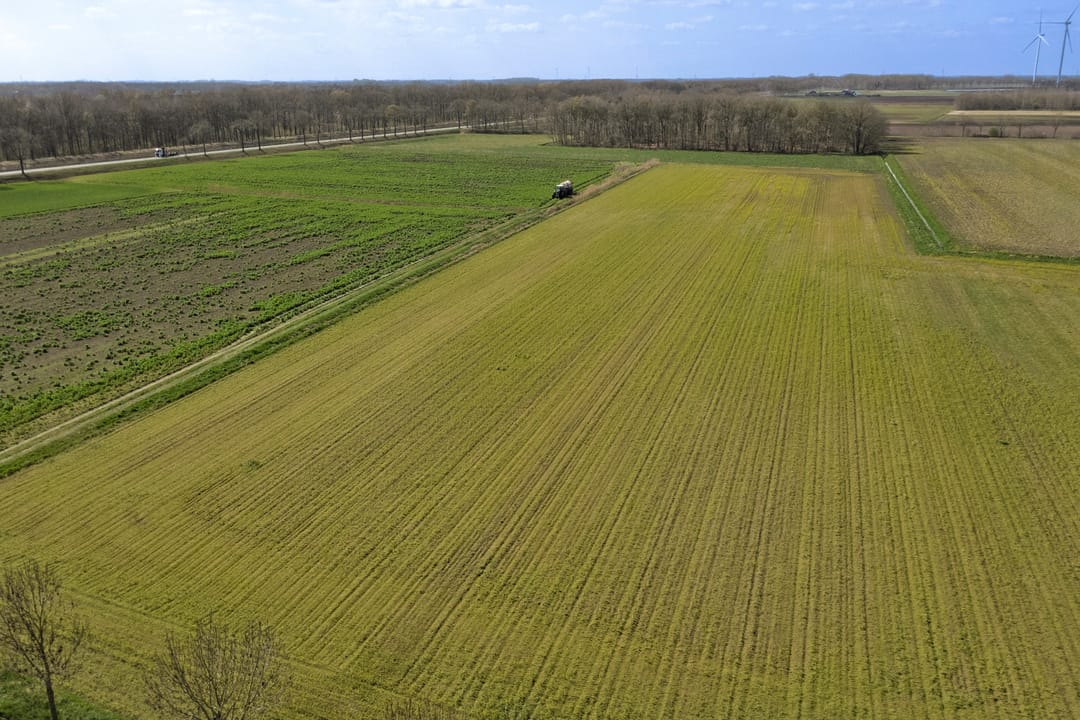 Photo 46 of Schaapsweg 3