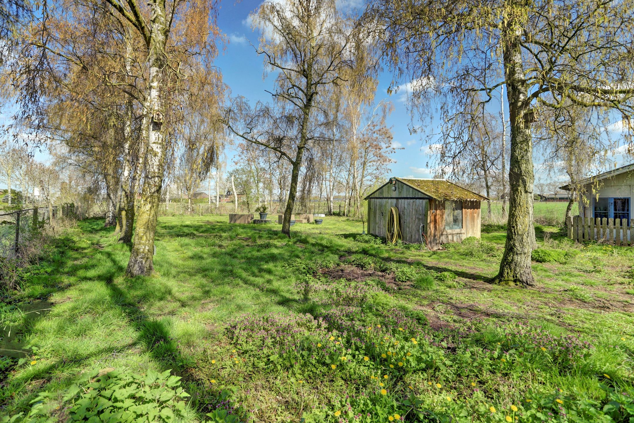 Photo 39 of Schaapsweg 3