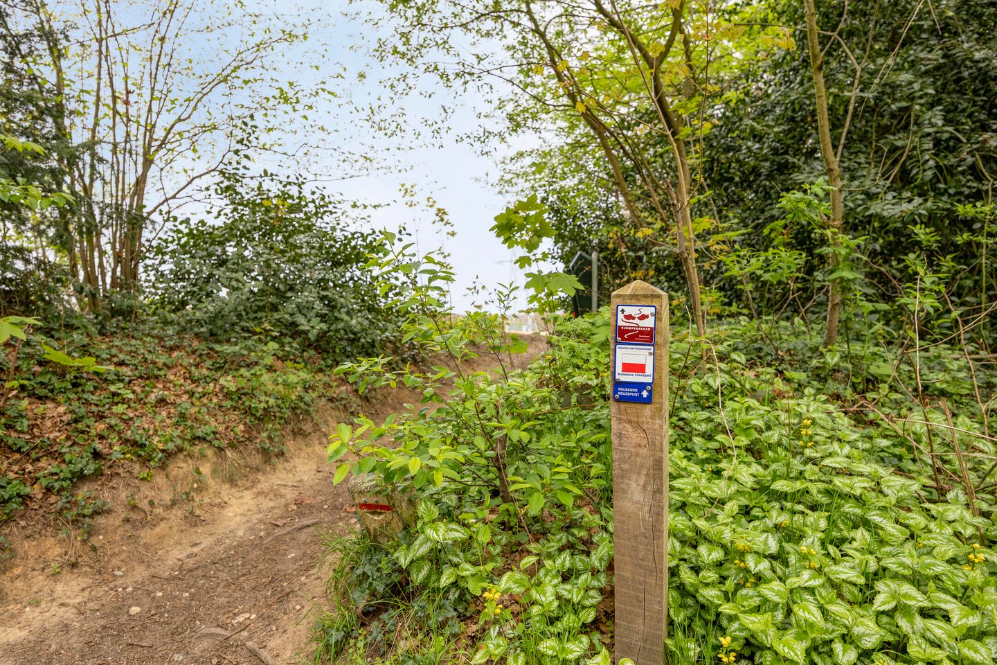 Foto 29 van van Wassenaersheuvel 113