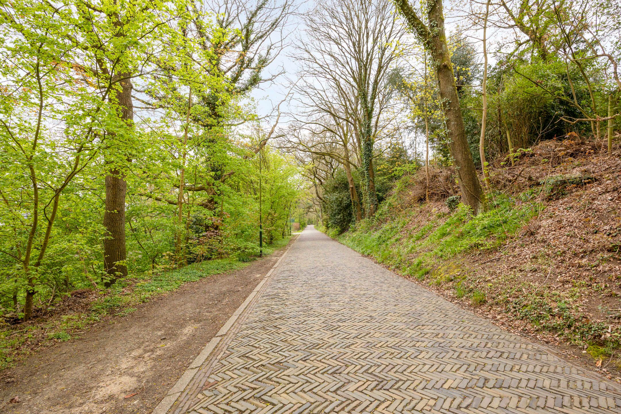 Foto 27 van van Wassenaersheuvel 113