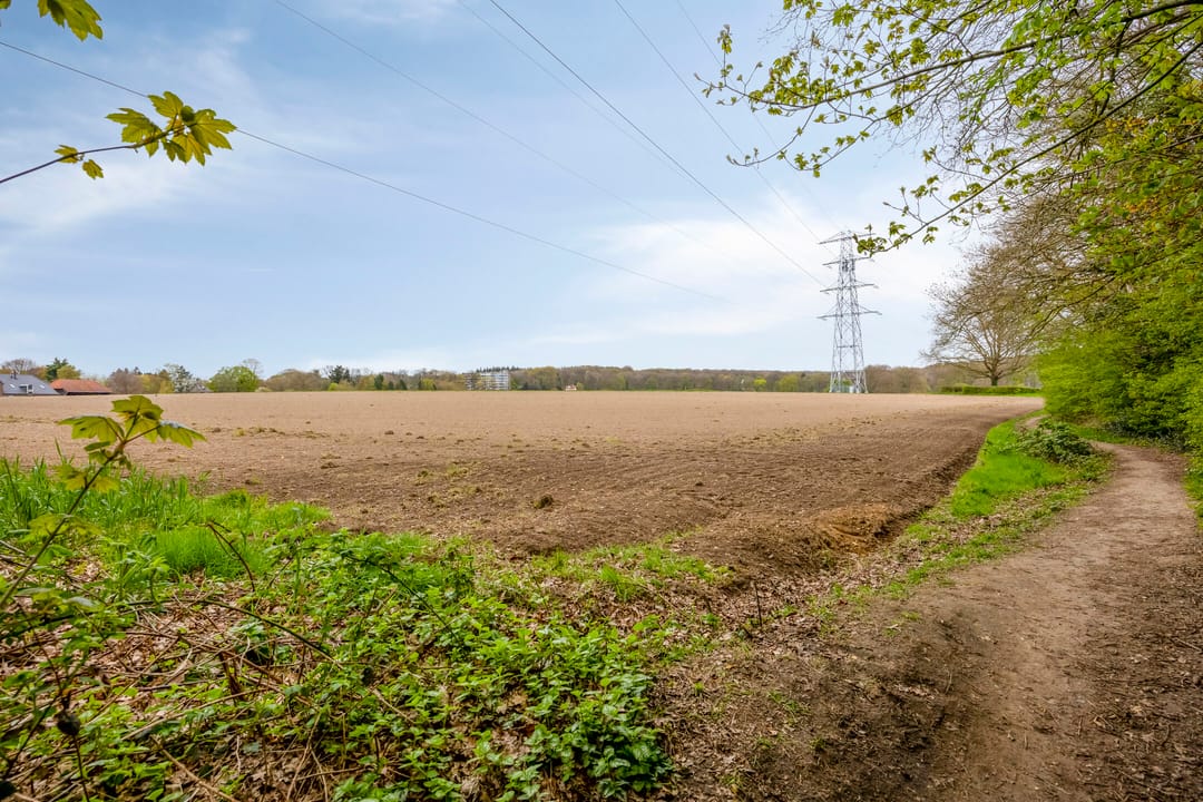 Foto 28 van van Wassenaersheuvel 113