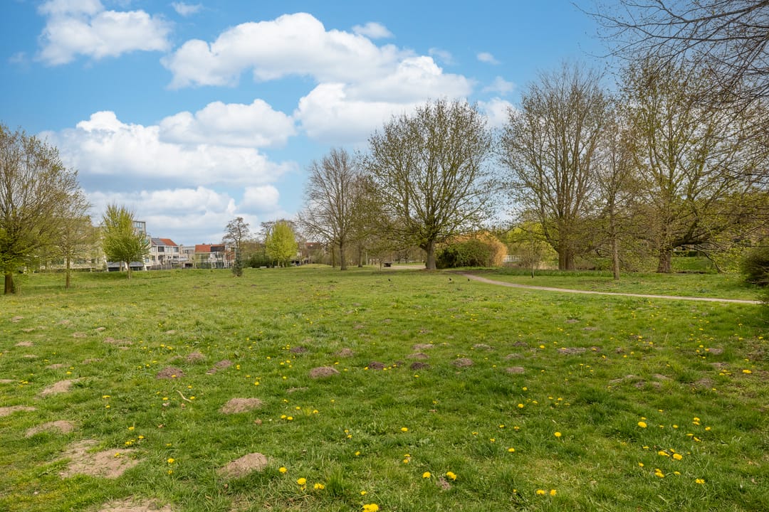 Photo 58 of Triasplein 73