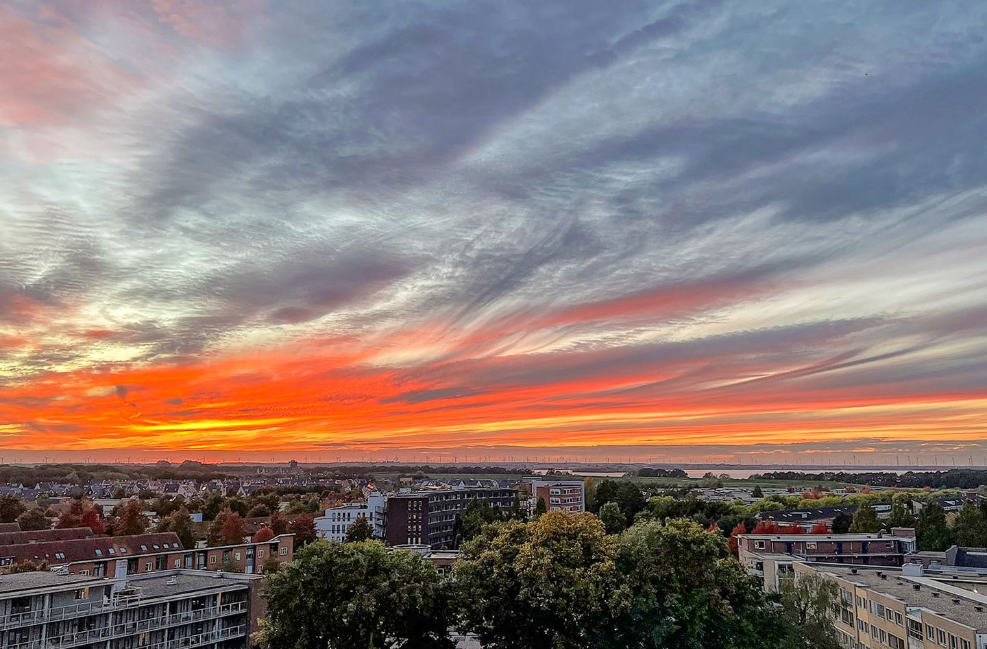 Photo 59 of Triasplein 73