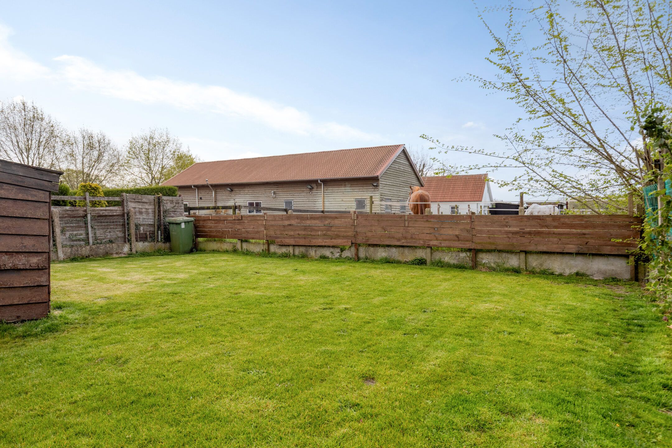 Foto 24 van Koningin Julianastraat 19