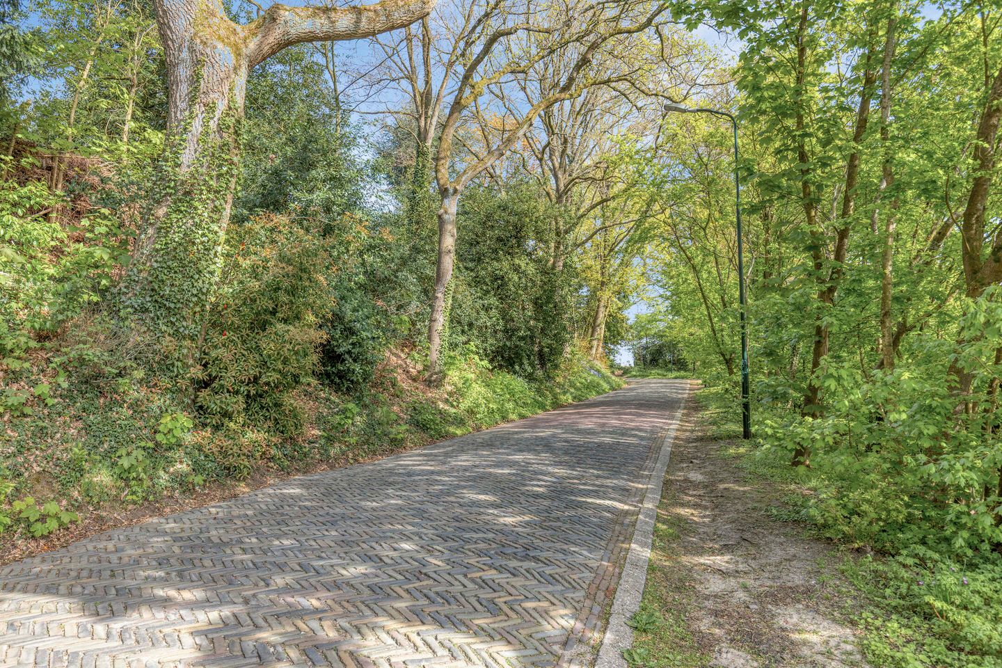 Foto 25 van van Wassenaersheuvel 84