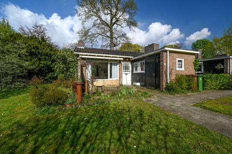 undefined main image