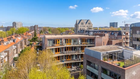 Westerdijk thumbnail