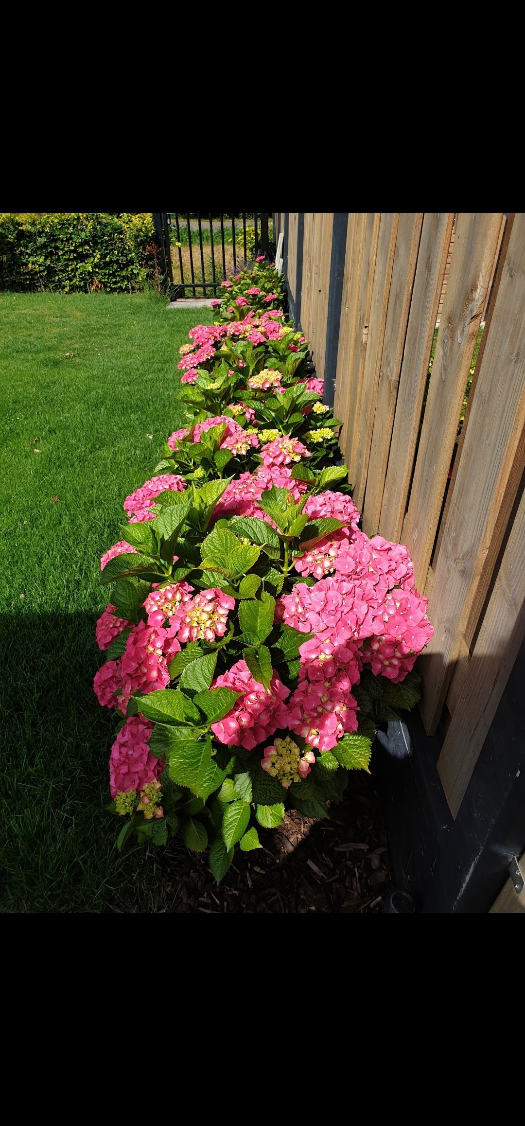 Photo 44 of Langeweide 303