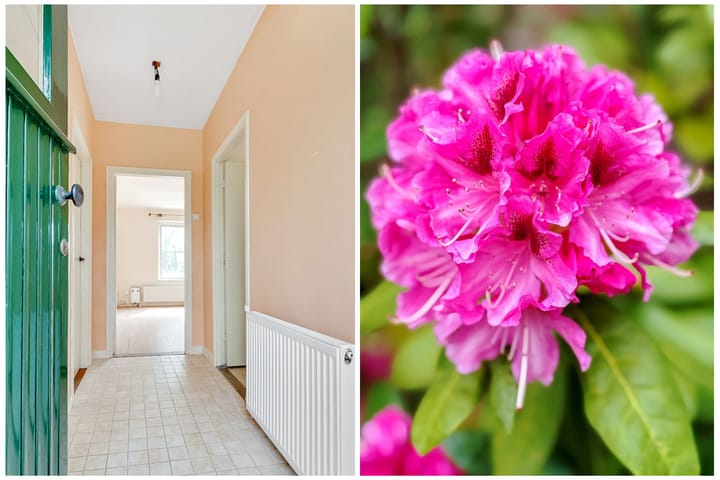 Foto 4 van Park Rodichem 17