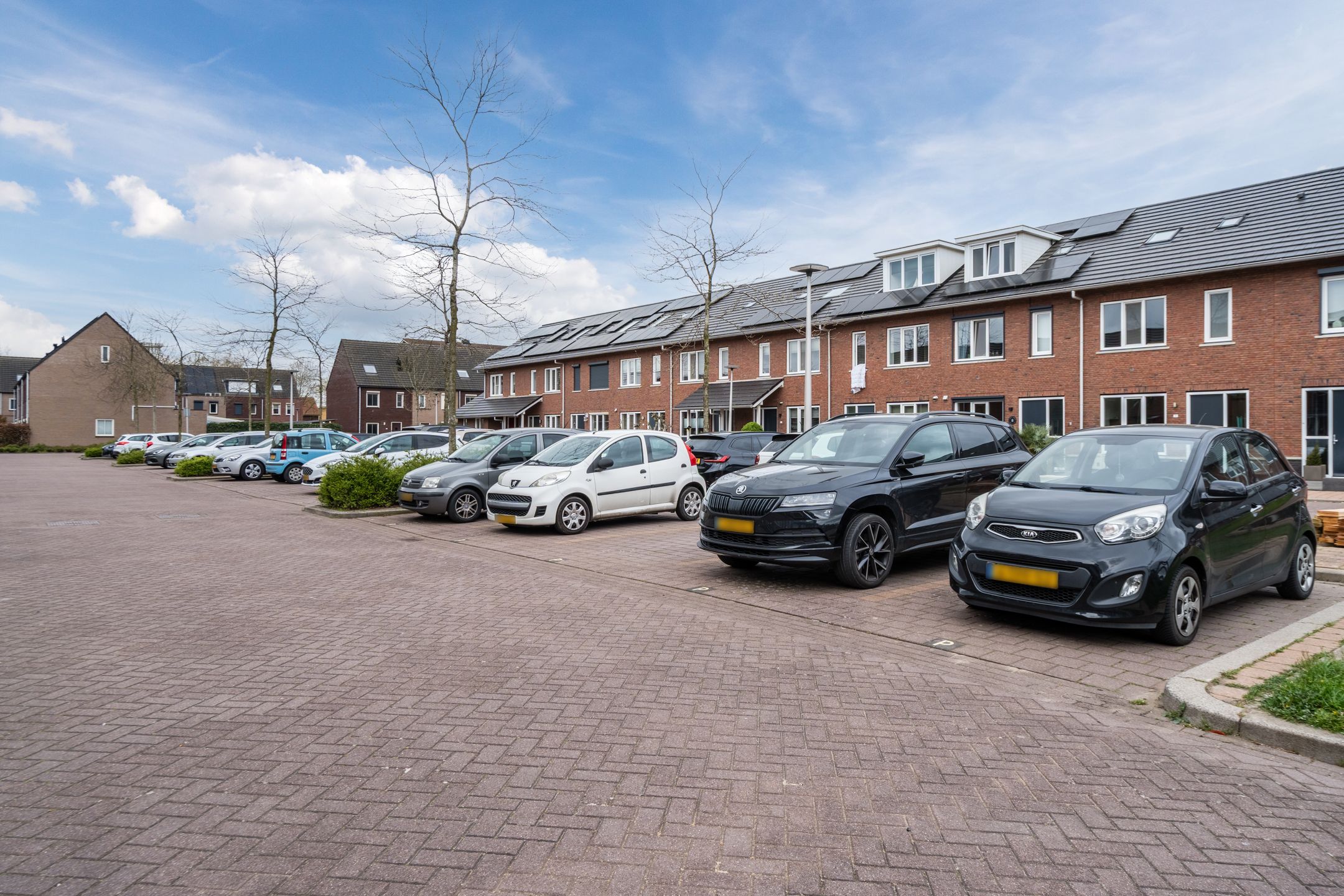 Photo 39 of Snoek 27