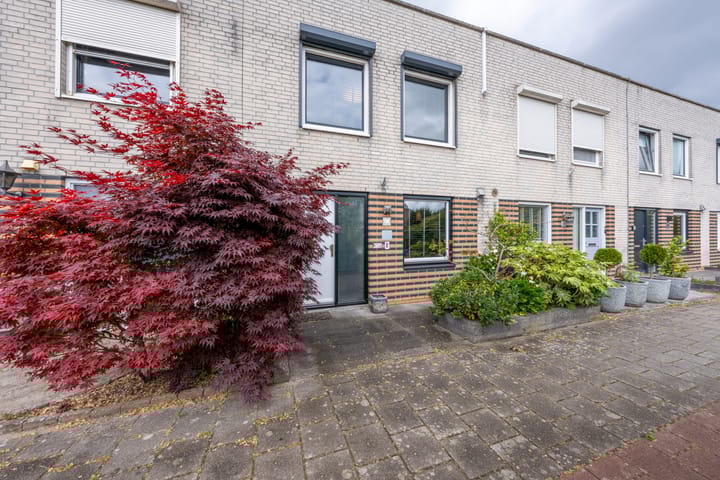 Foto 2 van Vrijheidsplantsoen 24