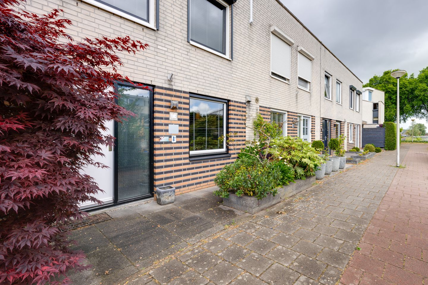 Foto 59 van Vrijheidsplantsoen 24