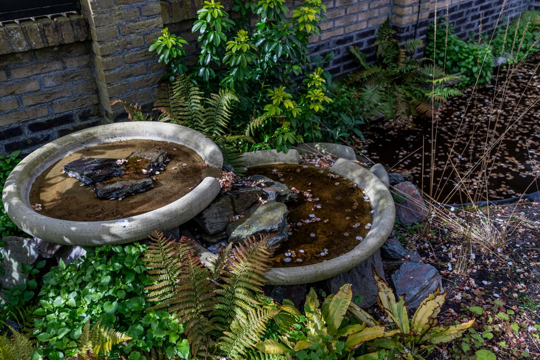 Foto 23 van Treslonglaan 122