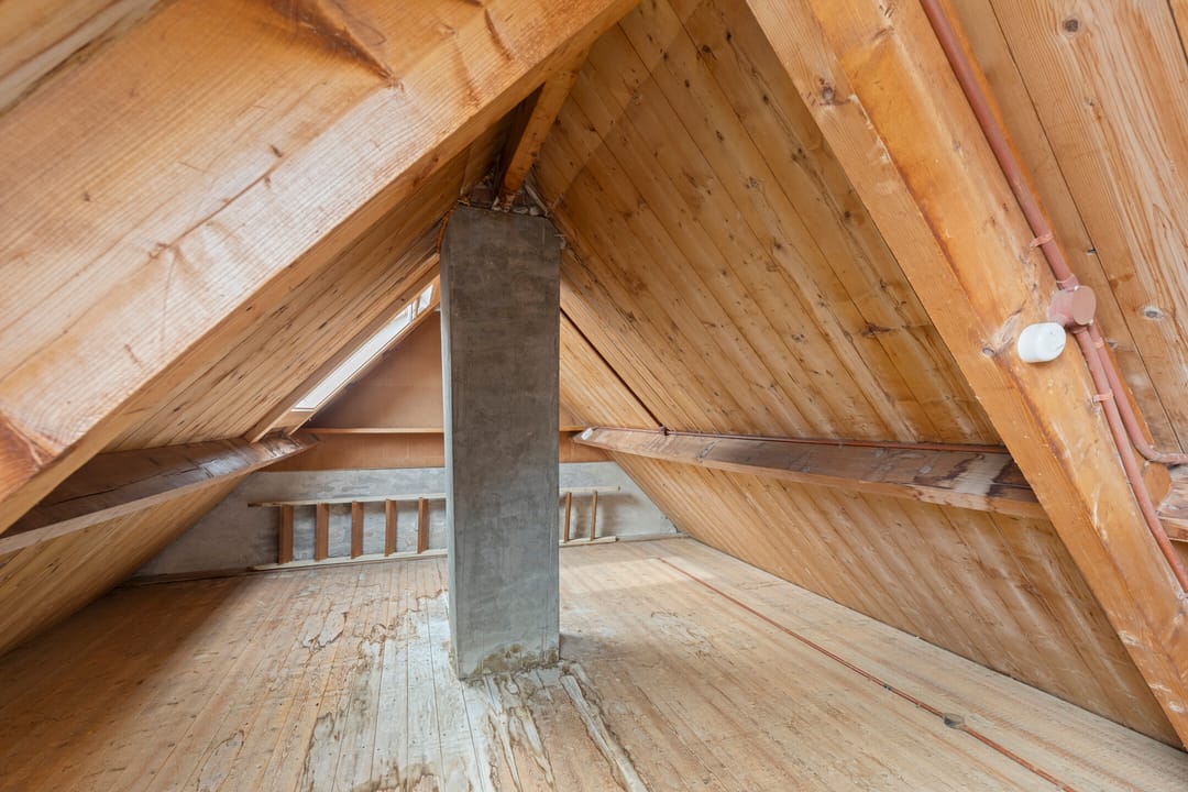 Foto 26 van Lindenlaan 4