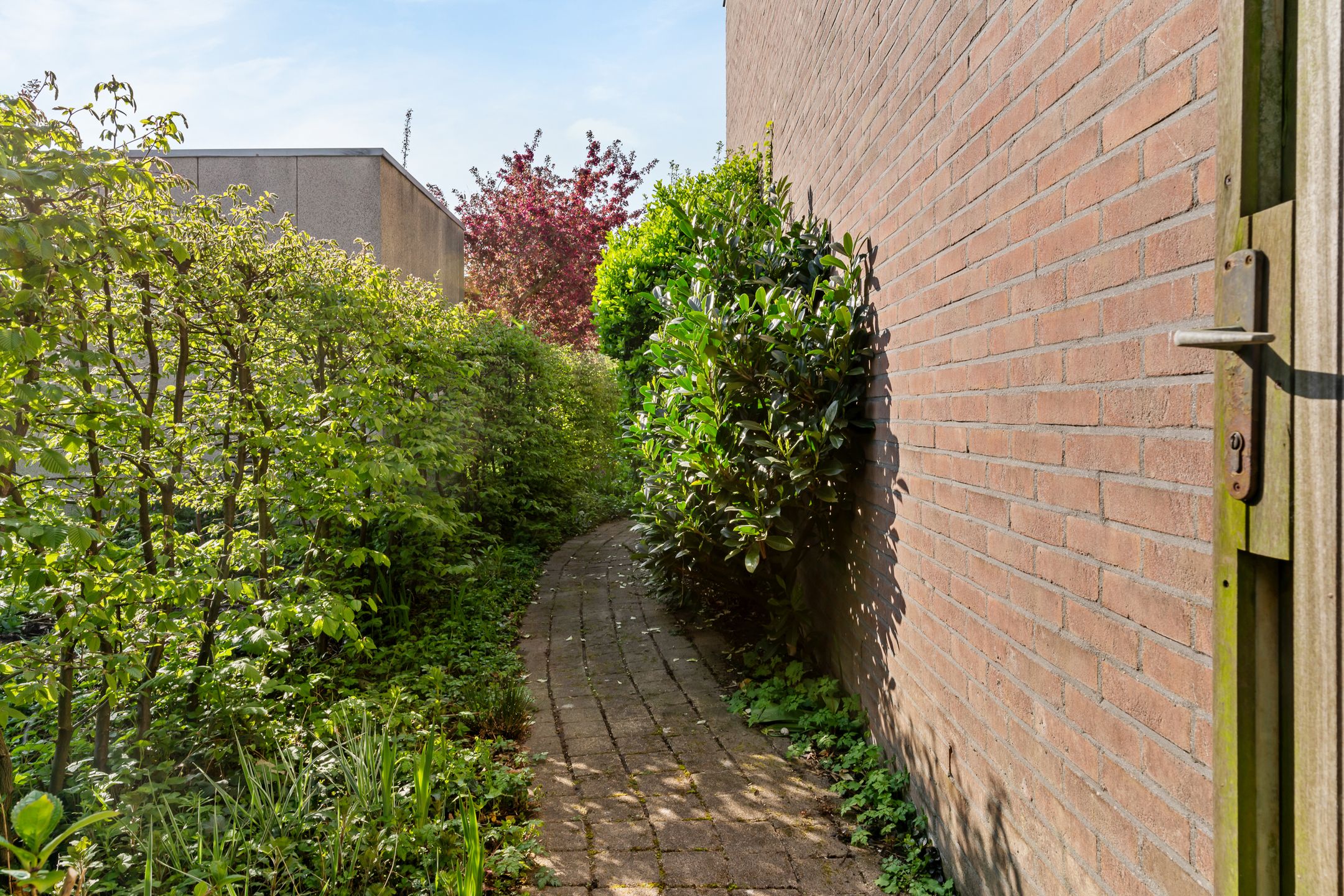 Foto 21 van Dotter 63